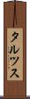 タルツス Scroll
