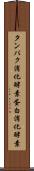 タンパク消化酵素 Scroll