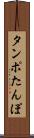 タンポ Scroll