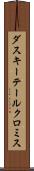 ダスキーテールクロミス Scroll