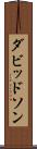 ダビッドソン Scroll