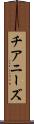 チアニーズ Scroll
