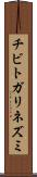 チビトガリネズミ Scroll
