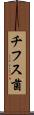チフス菌 Scroll
