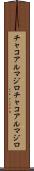 チャコアルマジロ Scroll