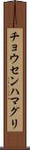 チョウセンハマグリ Scroll