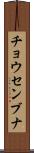 チョウセンブナ Scroll