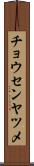 チョウセンヤツメ Scroll