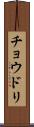チョウドリ Scroll