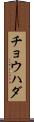 チョウハダ Scroll