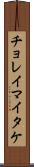 チョレイマイタケ Scroll