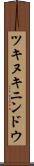 ツキヌキニンドウ Scroll