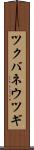 ツクバネウツギ Scroll
