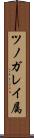 ツノガレイ属 Scroll
