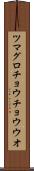 ツマグロチョウチョウウオ Scroll