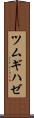 ツムギハゼ Scroll