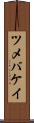 ツメバケイ Scroll