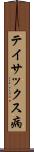 テイサックス病 Scroll