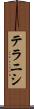 テラニシ Scroll