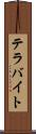 テラバイト Scroll