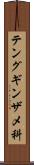 テングギンザメ科 Scroll