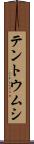 テントウムシ Scroll