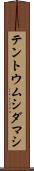 テントウムシダマシ Scroll