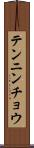テンニンチョウ Scroll