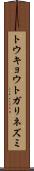 トウキョウトガリネズミ Scroll