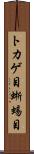 トカゲ目 Scroll