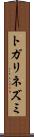 トガリネズミ Scroll
