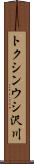 トクシンウシ沢川 Scroll