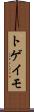 トゲイモ Scroll