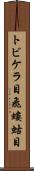 トビケラ目 Scroll