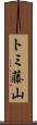 トミ藤山 Scroll