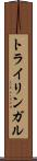トライリンガル Scroll