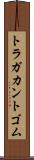 トラガカント・ゴム Scroll
