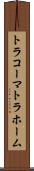 トラコーマ Scroll
