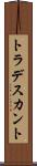 トラデスカント Scroll