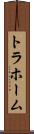 トラホーム Scroll