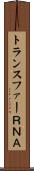 トランスファーＲＮＡ Scroll