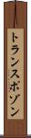 トランスポゾン Scroll