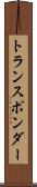 トランスポンダー Scroll