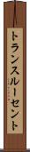 トランスルーセント Scroll