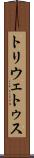 トリウェトゥス Scroll