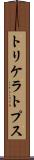 トリケラトプス Scroll