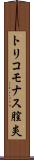 トリコモナス膣炎 Scroll
