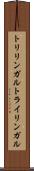トリリンガル Scroll