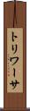 トリワーサ Scroll