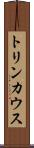 トリンカウス Scroll